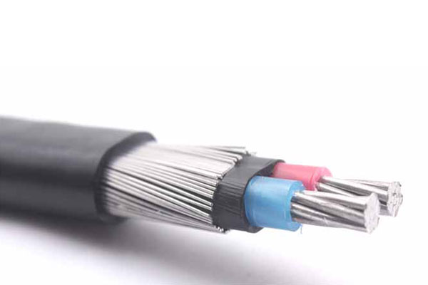 Concentric Cable